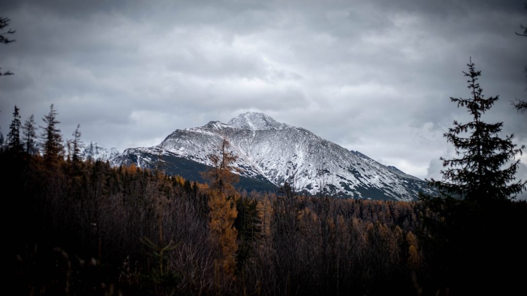 a snow covered mountain with trees in the foreground