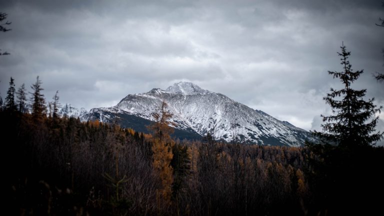 a snow covered mountain with trees in the foreground